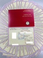 Học chứng chỉ sơ cấp vận tải đường bộ - kinh doanh vận tải, đổi biển vàng (lớp online)