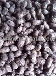 Cung cấp giống khoai môn cao chỉ tím 093729133 ms.hằng