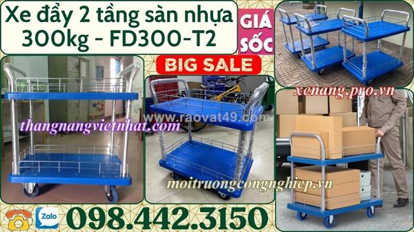 Xe đẩy hàng 2 tầng sàn nhựa 300kg giá rẻ