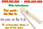 Địa chỉ nơi bán sáo recorder màu xanh, hồng trong suốt tại gò vấp, sài gòn, tphcm
