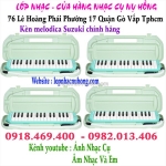 Kèn melodica / melodion 32 phím màu hồng tại 76 lê hoàng phái p17 gò vấp, tphcm