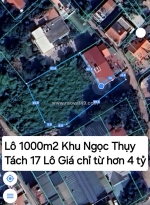 Bán đất giá đầu tư lô 1000m2 đất đẹp kv ngọc thụy- ô tô qua nhà-chia ra 17 lô