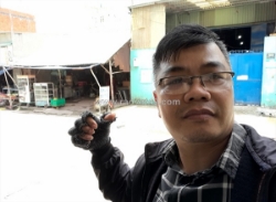 Bán gấp 2 dẫy phòng trọ 666m2 có 14,3 tỷ mặt tiền tl8 bình mỹ củ chi hồ chí minh