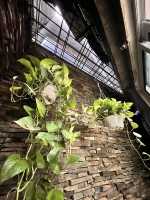 Bán nhà phố trần đại nghĩa, lô góc,ô tô tránh, kinh doanh, 35m2 7t mt5,2m giá