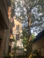 Bán nhà sài đồng - long biên - phân lô ô tô tránh - 100m - 5 tầng - 15.8 tỷ