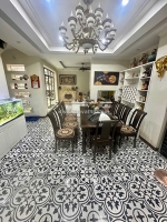 Biệt thự mini trung tâm ba đình 132m2 x mặt tiền 7m.