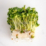 Bột mầm rau nguyên chất, giàu khoáng chất – giải pháp hoàn hảo cho sức khỏe