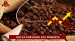 Cà phê robusta 2024: giá tăng hay chờ đợi một cú hạ nhiệt?