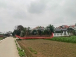 Chính chủ cần bán đất nền sen phương - phúc thọ full thổ cư lô góc 360m2