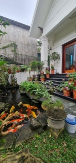 Duy nhất 1 căn biệt thự đẹp, công viên, khu tiện ích, kđt trần hưng đạo, tp