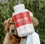 Gluco ally blood health support formula