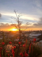 Homestay đà lạt 450m2 có 10 phòng thiết riêng full nội thất giá cắt lỗ.