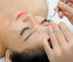 Khóa học nối mi lông chồn cấp tốc: bí quyết trở thành chuyên gia chỉ sau vài buổi học