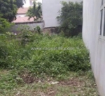 Mảnh đất có diện tích hơn 58m ô tô vào đất chỉ 65tr/m2 gần ngay chợ tự khoát,