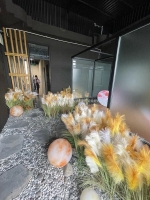 Mặt phố kim mã 101m2- 5t-mt 5.2m- kinh doanh đỉnh-vỉa hè- ô tô tránh- doanh thu