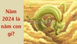 Năm 2024 là năm con gì