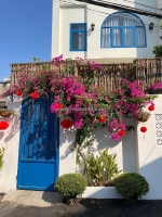 Nhà đẹp 2 tầng hxh đặng văn bi bình thọ thủ đức dt 48 m2 chỉ 4,8tỷ tl