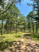 Siêu phẩm đất nền đa nhim, lạc dương – gần 55 hecta đất, pháp lý chuẩn, giá chỉ