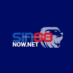 Sin88now.net: khám phá, chơi và chiến thắng!