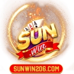 Sunwin 206com