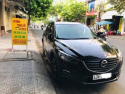 Thuê xe du lịch tự lái