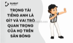 Trọng tài tiếng anh là gì? vai trò của trọng tài trong sân bóng