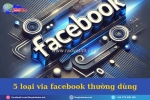 5 loại via facebook thường dùng