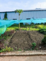 Bán 52m2 đất thổ đường nguyễn duy trinh quận 9 giá chỉ 2.9 tỷ còn bớt