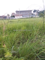 Bán đất huyện đông hưng, diện tích 210m2 giá chỉ tầm 1.9 tỷ