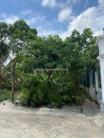 Bán đất mặt đường đông hưng, diện tích 105m2 giá chỉ 2 tỷ.