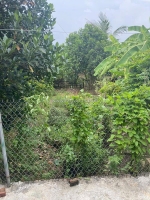 Bán đất mặt đường, kinh doanh tốt - xã đông động, đông hưng, thái bình. diện