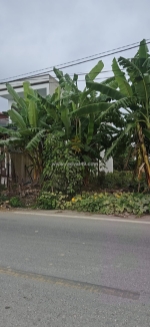 Bán đất xã đông động, huyện đông hưng, thái bình, diện tích 100m2, mặt tiền 5m,