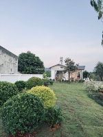 Bán homestay mộc châu view đồi chè cực hot 🔥