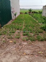 Bán lô đất huyện kiến xương -  tiềm năng sinh lời cao
tại thôn đông thành xã