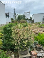 Bán lô đất phú trung vĩnh thạnh 350m2 ngang 17m giá chỉ 3ty5