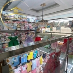 Bán nhà đẹp đẳng cấp số 9 tân xuân, p.8, q. tân bình - chỉ 29 tỷ, sở hữu thang