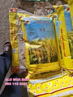 Bao bì lúa giống 40kg - giải pháp cho mọi nông dân