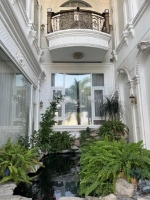 Biệt thự 5 tầng 178m2 nội thất gỗ xịn, mặt tiền đường xe hơi thông 1979 huỳnh