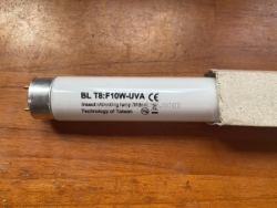 Bóng đèn taiwan 10w