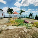 Chính chủ cần bán nhà vườn tại thị trấn cần giuộc , đường xe hơi , giá cực tốt