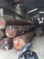 Cho thuê kho xưởng tại dương nội, hà đông, hà nội. diện tích 450m, khung thép