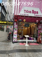 Cho thuê nhà nguyên căn khu phố tây đường biệt thự