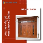 Cửa thép vân gỗ tại sóc trăng | mẫu cửa chính bền, đẹp