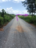 Đất lập vườn cặp rạch an tây, bến cát, bình dương