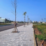 Đô thị 520 thị trấn rừng thông: làn sóng đầu tư an toàn – hiệu quả