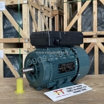 Động cơ điện 1 pha 1.1kw 1.5hp