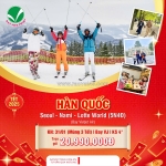 Mừng xuân sang - ưu đãi ngập tràn cùng tour hàn quốc  'read more at: https://congdongseo.vn/forum/topic