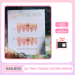 Nailbox ombre chuyển sắc mềm mại – xu hướng tinh tế năm 2024
