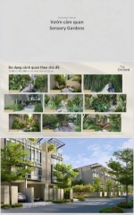 Nhà phố liền kề sycamore the orchard - capitaland - bình dương