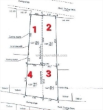 Ông anh được lên vtv